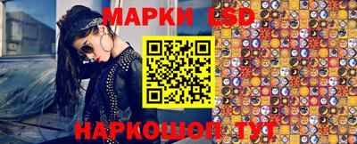 гидра Будённовск