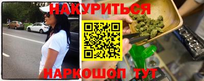 гидра Будённовск