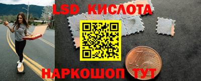гидра Будённовск