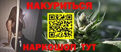 гидра Будённовск