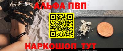 гидра Будённовск