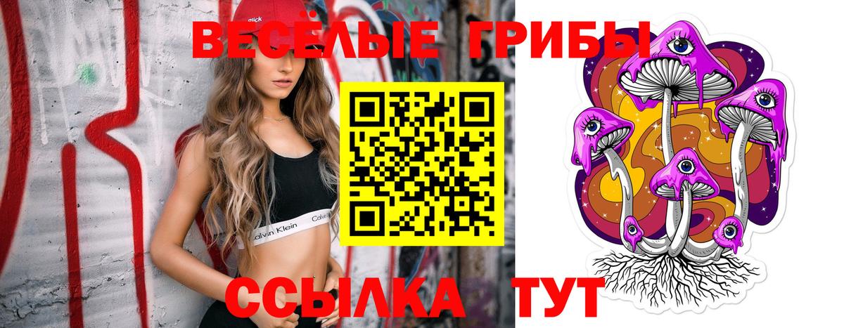 купить наркотики цена  Вход с VPN  Элиста  Псилоцибиновые грибы прущие грибы 